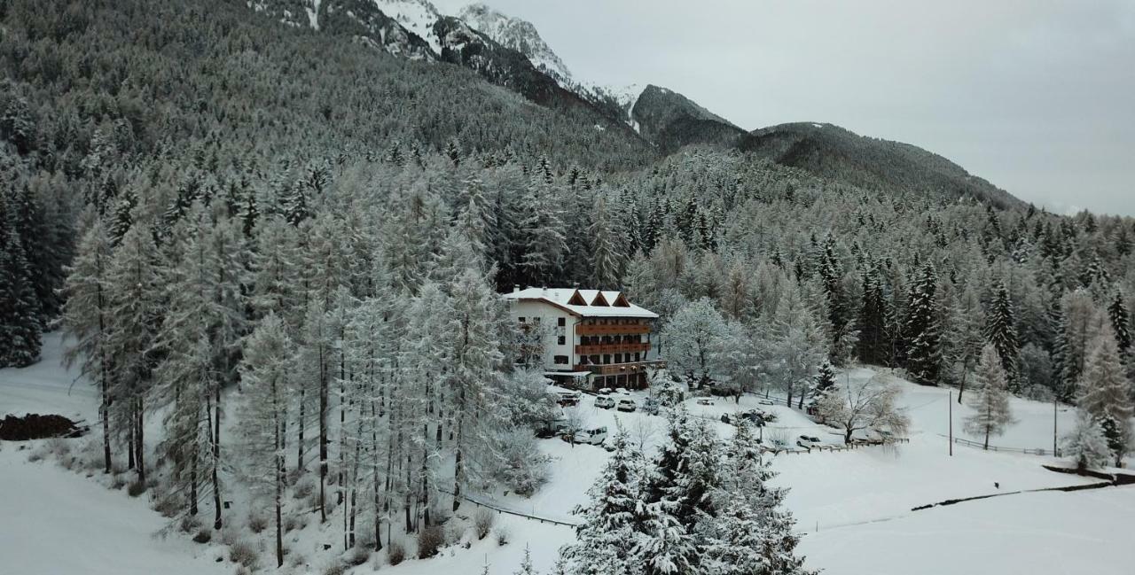 Hotel Ganzaie Daiano Dış mekan fotoğraf